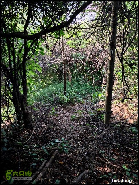 珠海凤凰山_东坑A线B线之间IMG_4361a