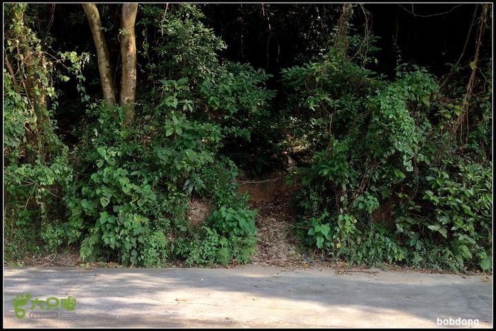 珠海凤凰山_东坑A线B线之间路口