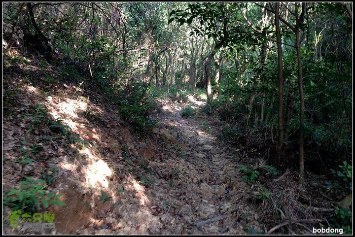 珠海凤凰山_东坑A线B线之间IMG_4370a