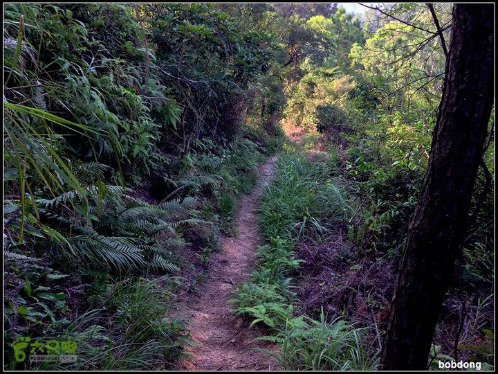 珠海凤凰山_东坑A线B线之间IMG_4373a