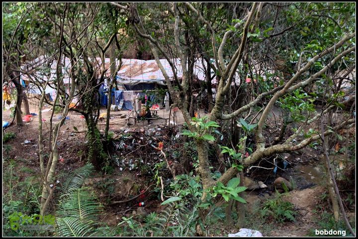 珠海凤凰山_东坑A线B线之间奇! 山林深处有人家