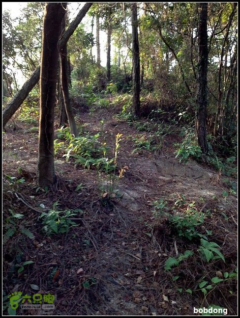 珠海凤凰山_东坑A线B线之间路况