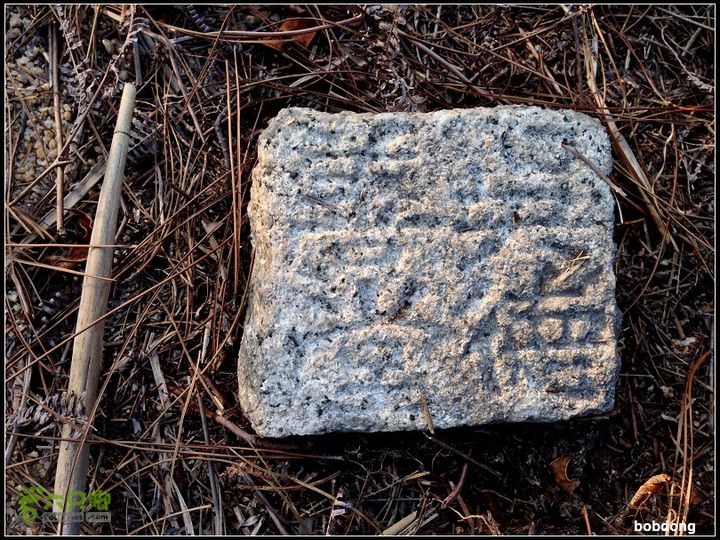 珠海凤凰山_东坑A线B线之间IMG_4389a