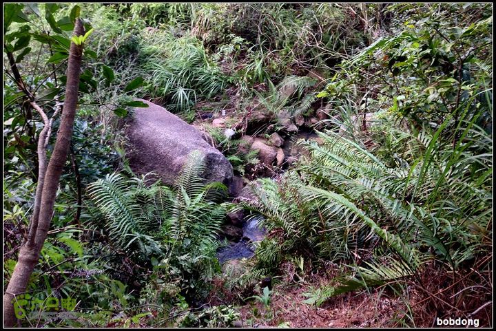 珠海凤凰山_东坑A线B线之间路边溪水很好