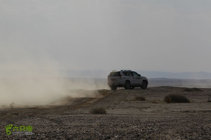 穿越黒戈壁第一天（额济纳-马鬃山）_MG_3370