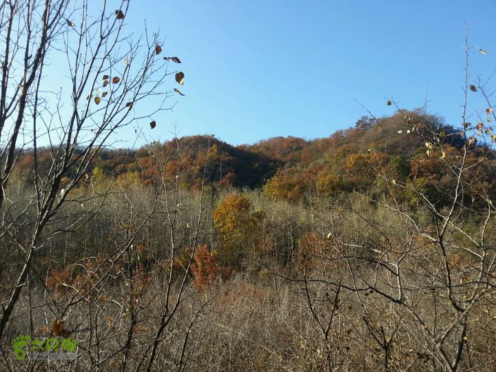 箭扣全程穿越2013-10-26 08:40:45