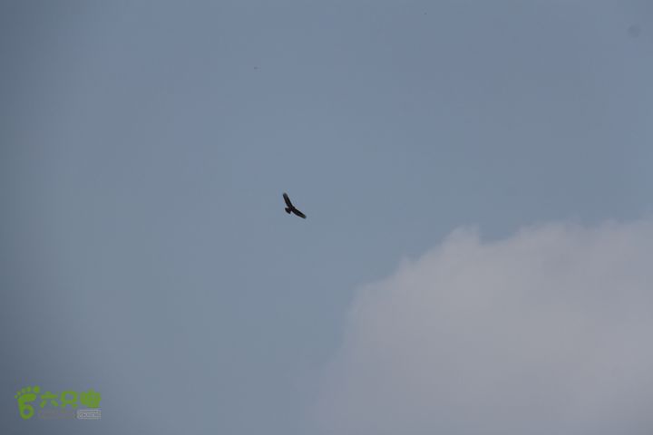 20131026宁波慈溪栲栳山东峰西峰登顶10公里环线23栲栳山雄鹰