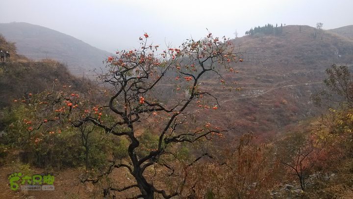2013-11-02镇门峪西厢行者峪岳峪黄连峪IMG_20131102_085905_眸目压缩
