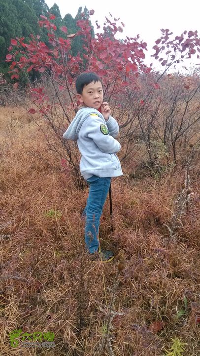 2013-11-02镇门峪西厢行者峪岳峪黄连峪IMG_20131102_090600_眸目压缩