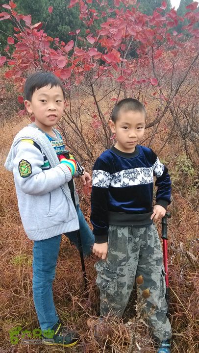 2013-11-02镇门峪西厢行者峪岳峪黄连峪IMG_20131102_090608_眸目压缩