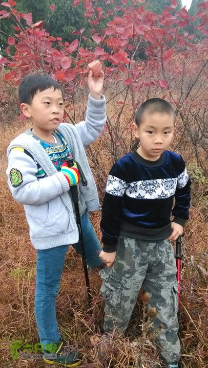 2013-11-02镇门峪西厢行者峪岳峪黄连峪IMG_20131102_090610_眸目压缩