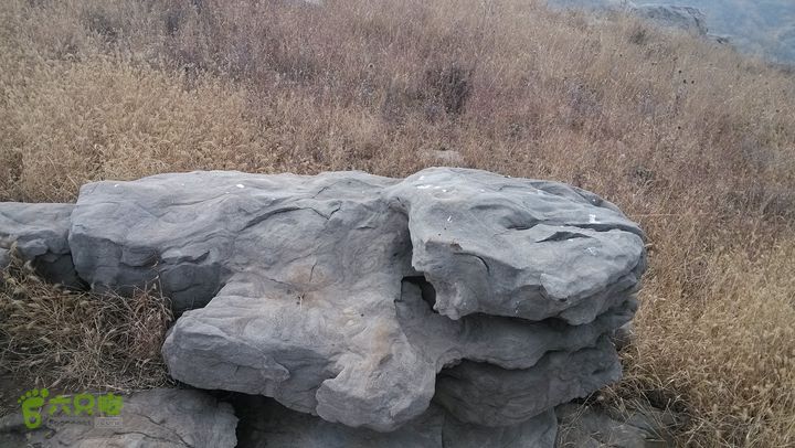 2013-11-02镇门峪西厢行者峪岳峪黄连峪IMG_20131102_112834_眸目压缩