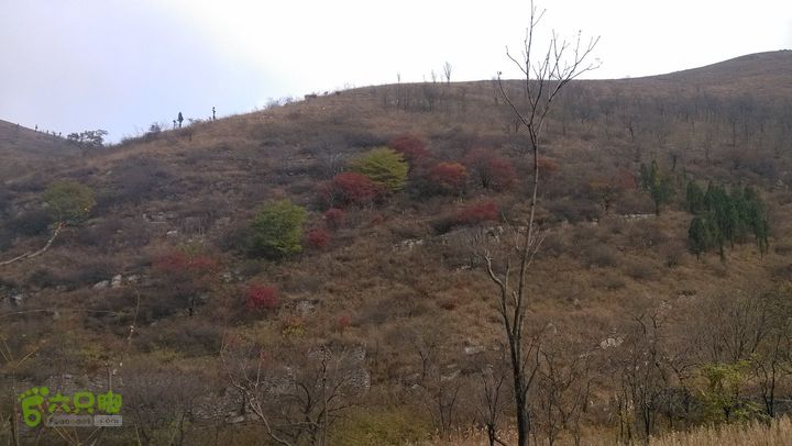 2013-11-02镇门峪西厢行者峪岳峪黄连峪IMG_20131102_120805_眸目压缩