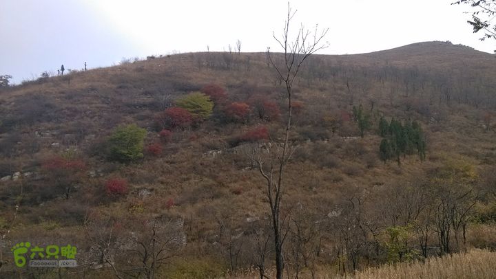 2013-11-02镇门峪西厢行者峪岳峪黄连峪IMG_20131102_120808_眸目压缩