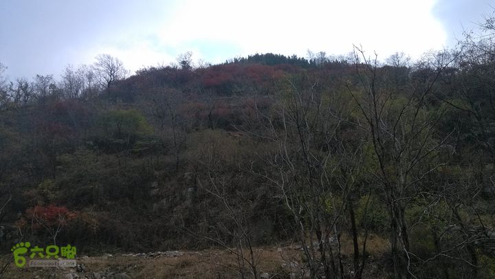 2013-11-02镇门峪西厢行者峪岳峪黄连峪IMG_20131102_121650_眸目压缩