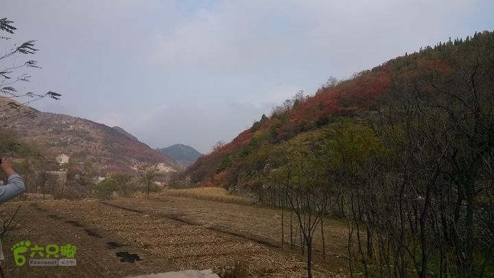 2013-11-02镇门峪西厢行者峪岳峪黄连峪IMG_20131102_121659_眸目压缩