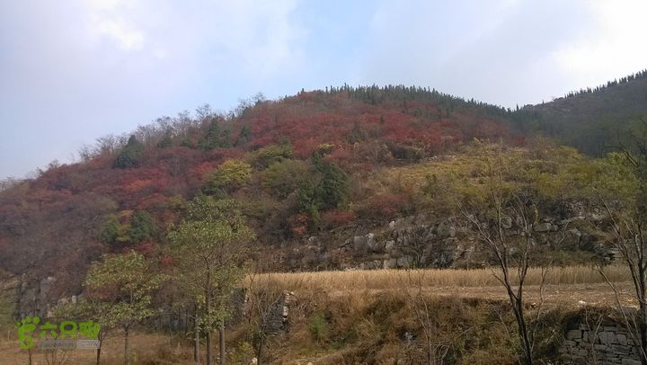 2013-11-02镇门峪西厢行者峪岳峪黄连峪IMG_20131102_121846_眸目压缩