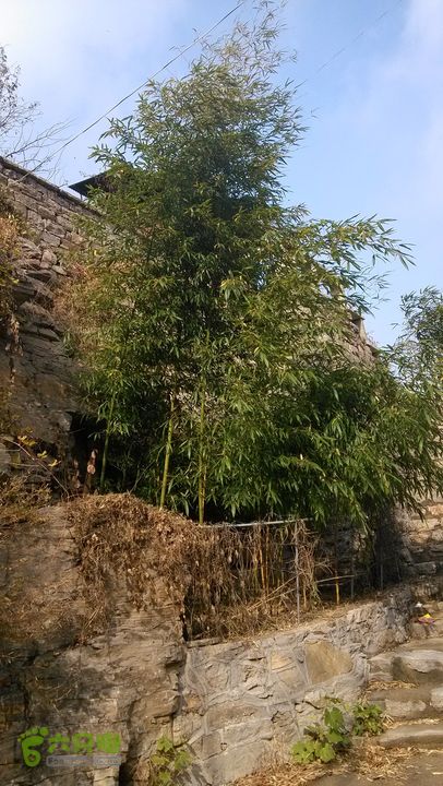 2013-11-02镇门峪西厢行者峪岳峪黄连峪IMG_20131102_122202_眸目压缩