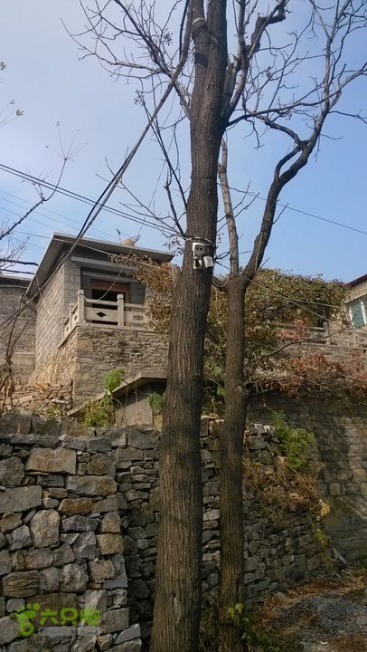 2013-11-02镇门峪西厢行者峪岳峪黄连峪IMG_20131102_122329_眸目压缩