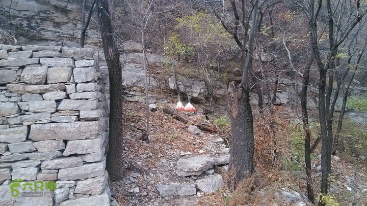 2013-11-02镇门峪西厢行者峪岳峪黄连峪IMG_20131102_131059_眸目压缩