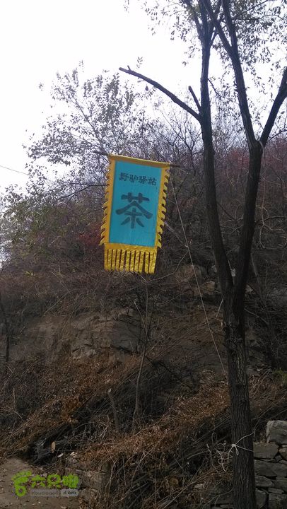 2013-11-02镇门峪西厢行者峪岳峪黄连峪IMG_20131102_131111_眸目压缩