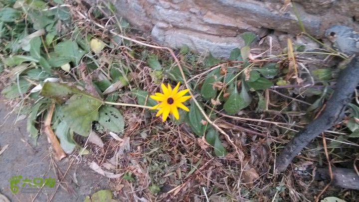 2013-11-02镇门峪西厢行者峪岳峪黄连峪IMG_20131102_151351_眸目压缩