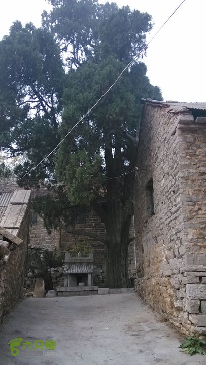 2013-11-02镇门峪西厢行者峪岳峪黄连峪IMG_20131102_160633_眸目压缩