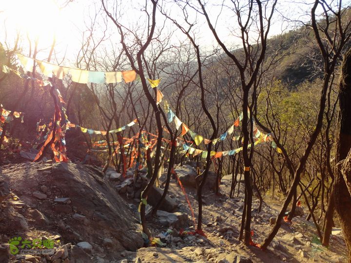 香山到望儿山06