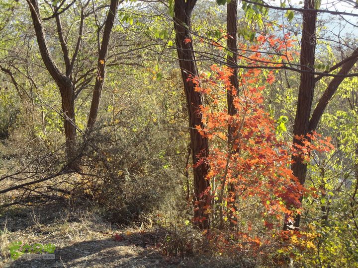 香山到望儿山13