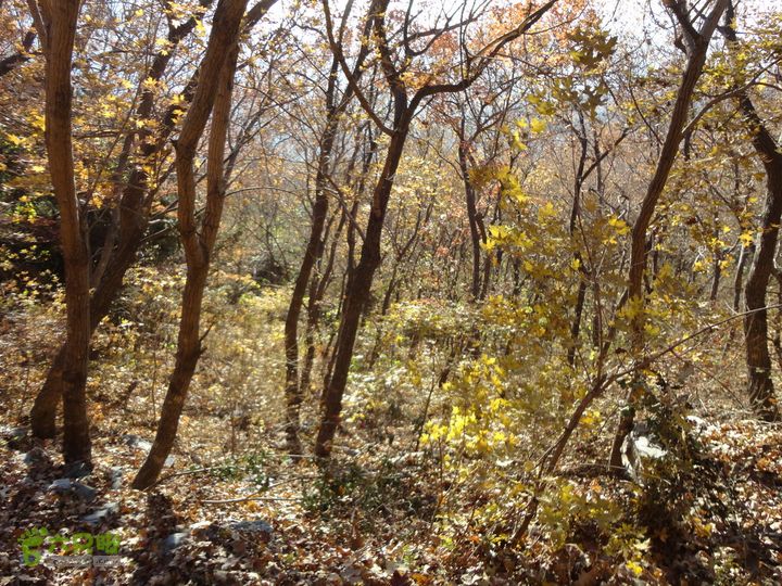 香山到望儿山19