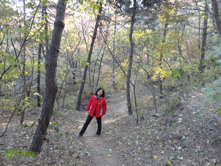 香山到望儿山26