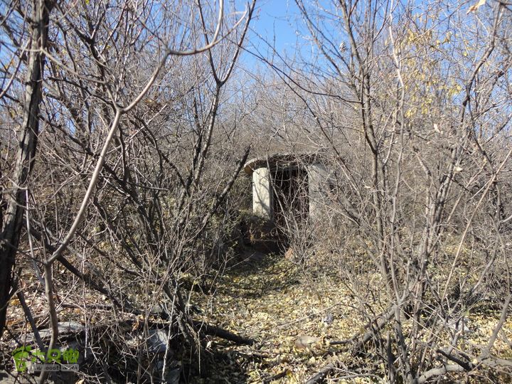 香山到望儿山31