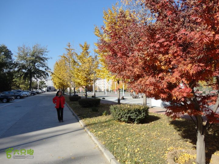 香山到望儿山穿行某单位