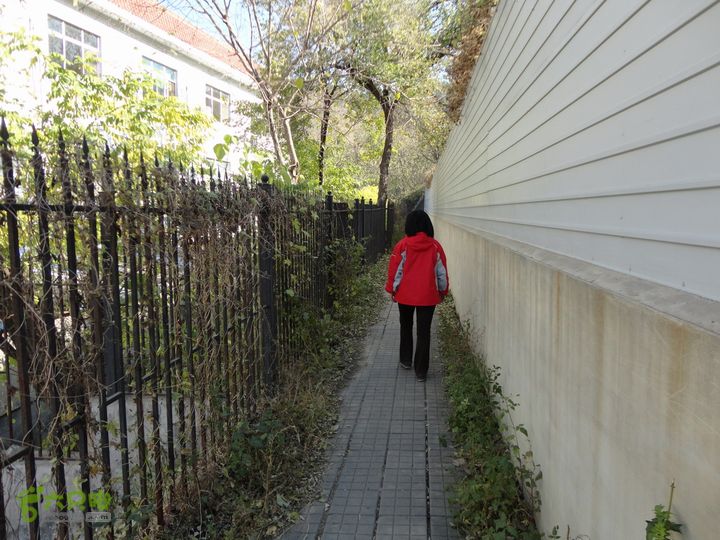 香山到望儿山34