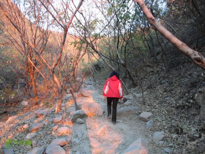 香山到望儿山晨光洒满山坡