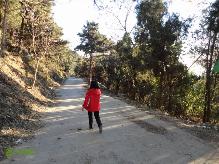 香山到望儿山从老望京楼下踏上防火道