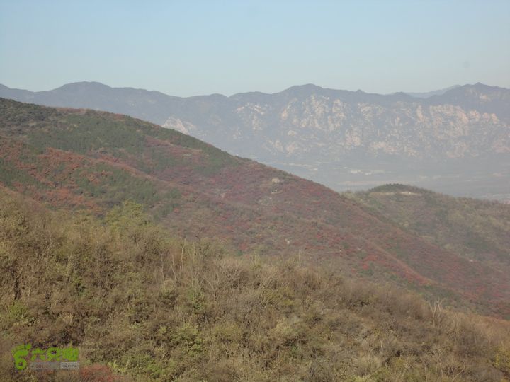 香山到望儿山23