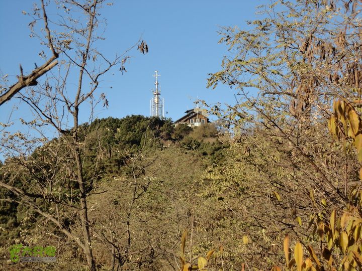 香山到望儿山回望老望京楼