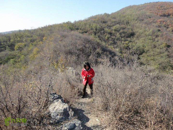 香山到望儿山没信号