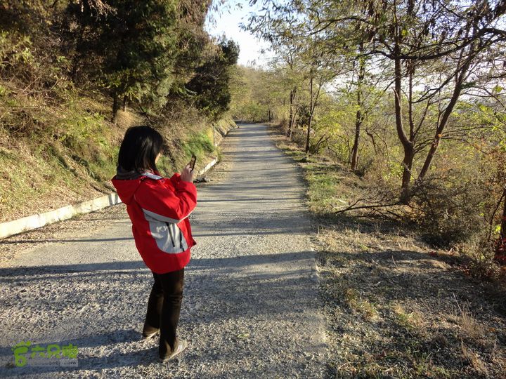 香山到望儿山拍照