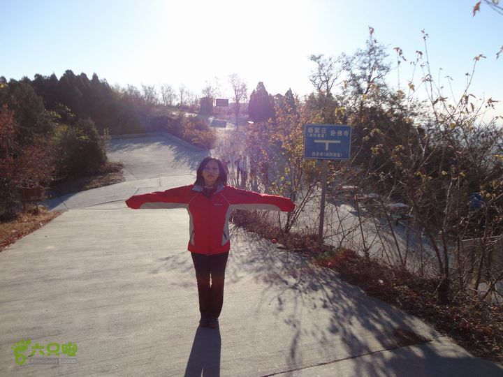 香山到望儿山四颗树（憋死猫）