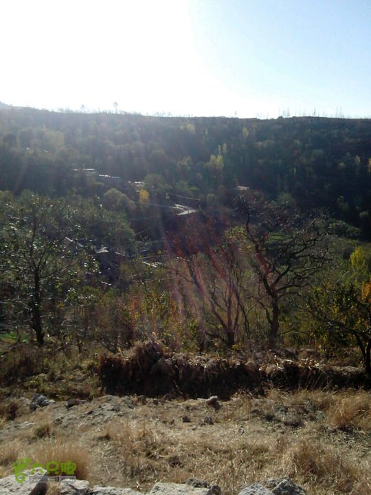 卧铺——三界碑——镇门峪——西厢——卧铺2013-11-07 08:33:35