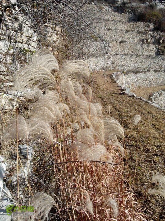 卧铺——三界碑——镇门峪——西厢——卧铺2013-11-07 08:48:38