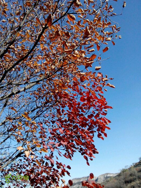 卧铺——三界碑——镇门峪——西厢——卧铺2013-11-07 10:33:37