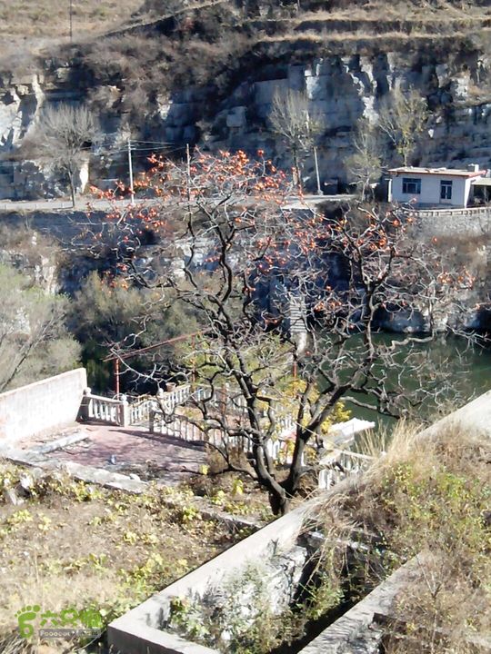 卧铺——三界碑——镇门峪——西厢——卧铺2013-11-07 11:03:23