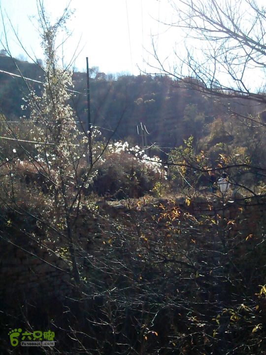 卧铺——三界碑——镇门峪——西厢——卧铺2013-11-07 13:19:49