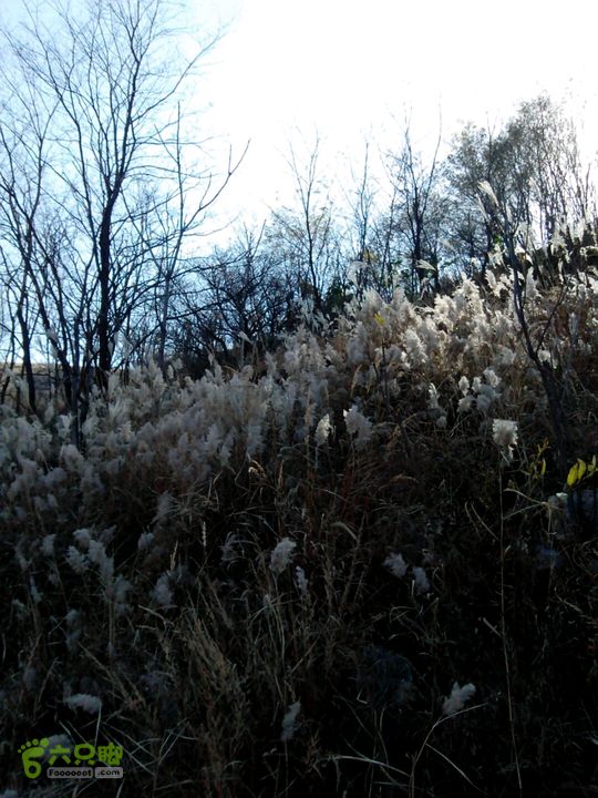 卧铺——三界碑——镇门峪——西厢——卧铺2013-11-07 14:04:20