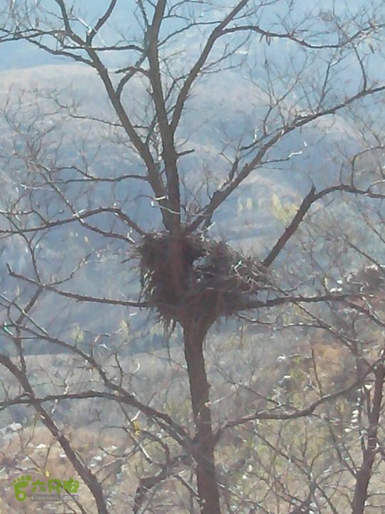 卧铺——三界碑——镇门峪——西厢——卧铺2013-11-07 14:27:24