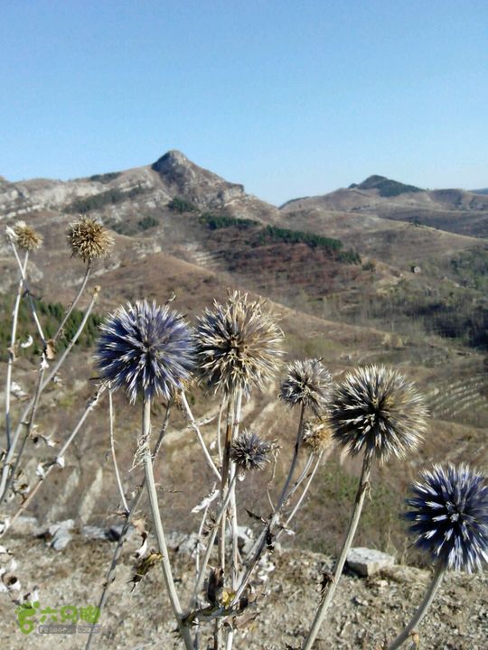 卧铺——三界碑——镇门峪——西厢——卧铺2013-11-07 14:31:56