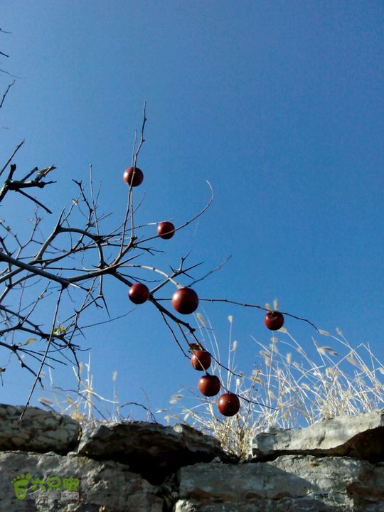 卧铺——三界碑——镇门峪——西厢——卧铺2013-11-07 14:34:15